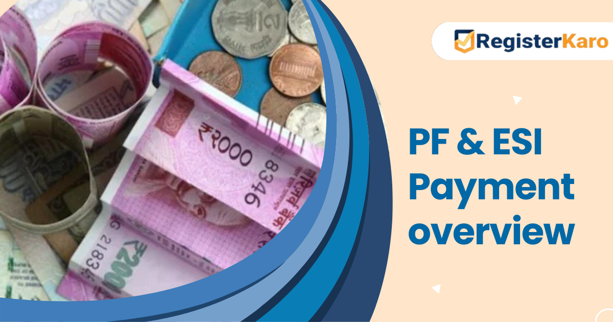 A Guide on Understanding PF and ESI Calculation