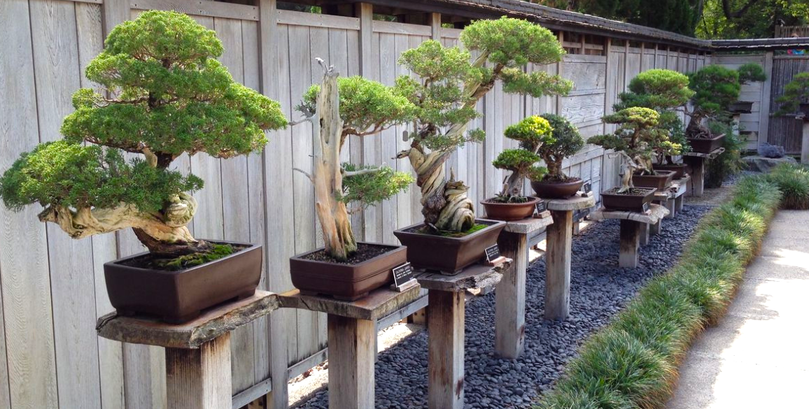 Get Your Trees and Materials