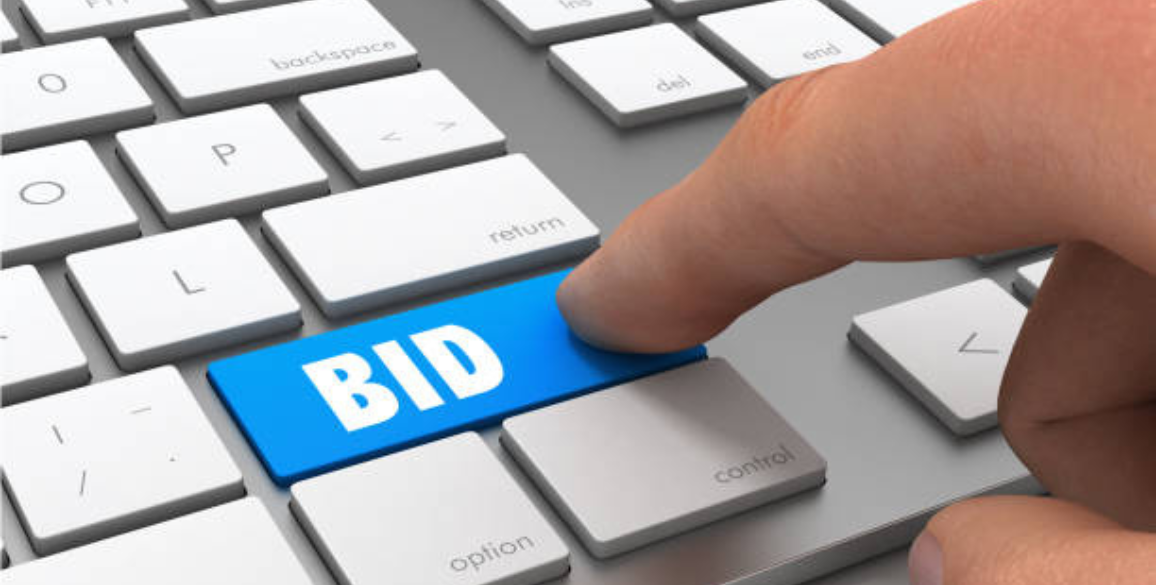 Plan to Start an Online Auction Business in India